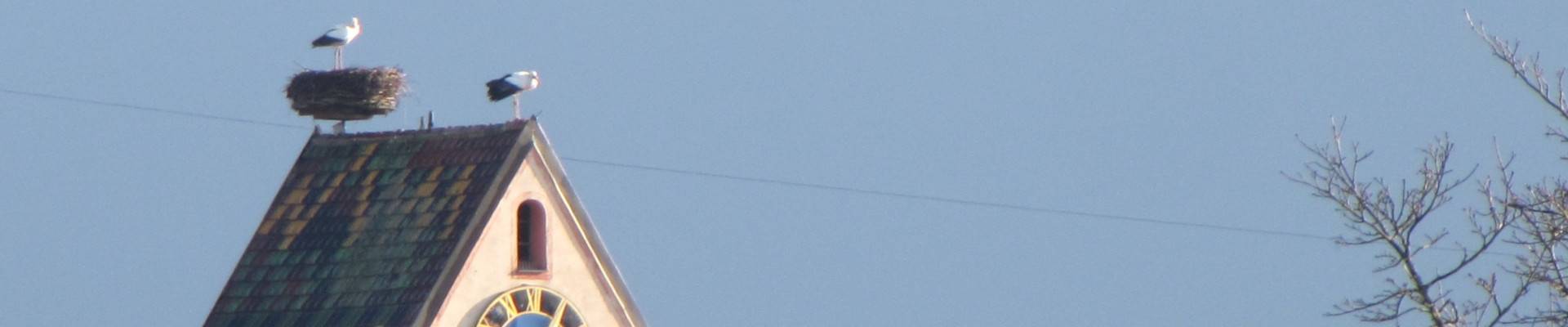 Quelle: Ev. Kirchengemeinde Bodersweier